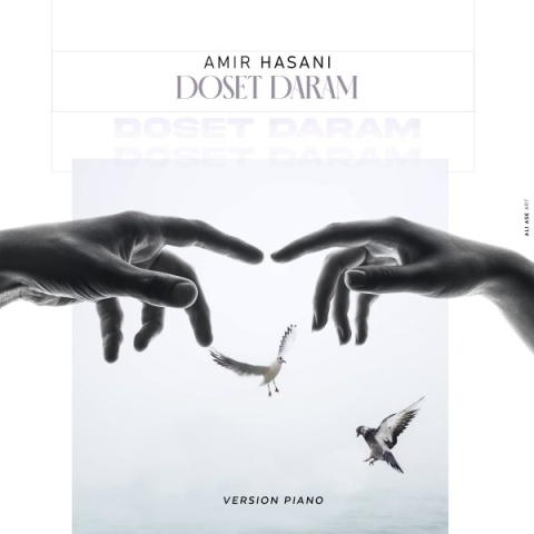 دانلود آهنگ جدید امیر حسنی دوست دارم