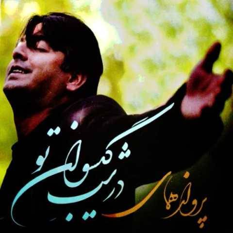 دانلود آهنگ جدید پرواز همای درشب کیسوان تو