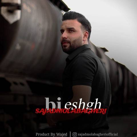 دانلود آهنگ جدید سجاد ملاباقری بی عشق