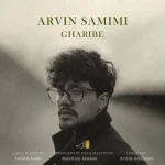 دانلود آهنگ آروین صمیمی به نام غریبه دانلود آهنگ آروین صمیمی به نام غریبه