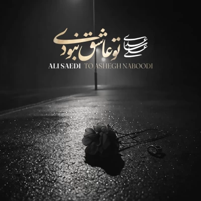 دانلود آهنگ جدید علی ساعدی تو عاشق نبودی