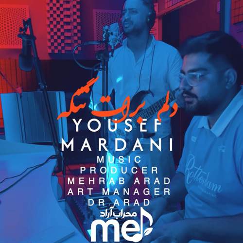 دانلود آهنگ جدید یوسف مردانی دلم برات تنگه