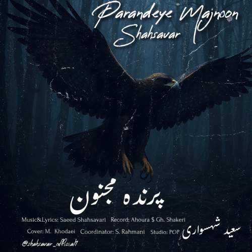 دانلود آهنگ جدید سعید شهسواری (شهسوار) پرنده مجنون