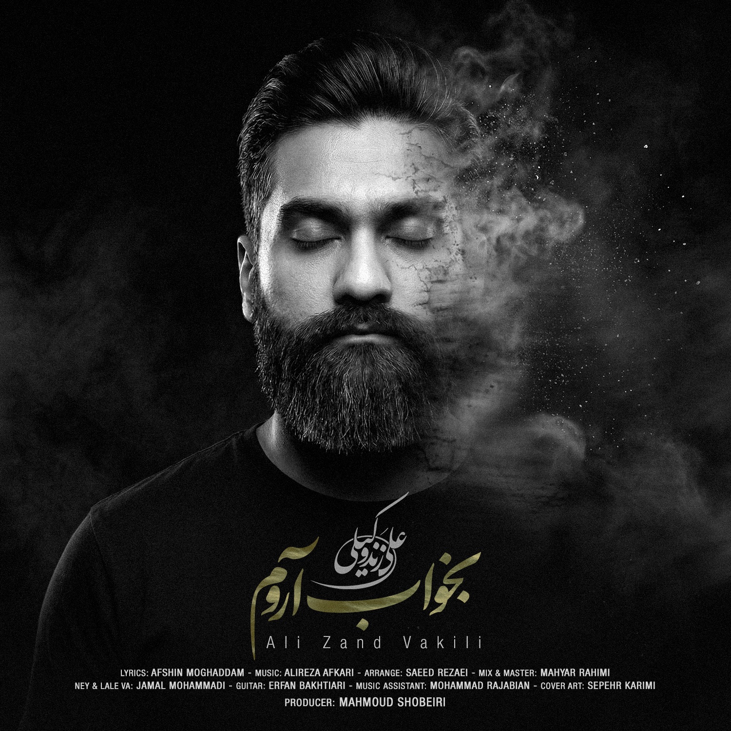 دانلود آهنگ جدید علی زند وکیلی بخواب آروم