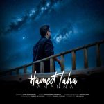 دانلود آهنگ حامد طاها به نام تمنا