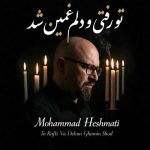 دانلود آهنگ محمد حشمتی به نام تو رفتی و دلم غمین شد